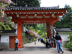 三室戸寺：山門