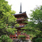 三室戸寺：三重等