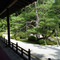 曼殊院：庭園