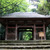 勝持寺（花の寺）