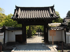 養源院：山門