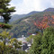 船岡山公園