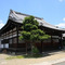 猫寺：本堂