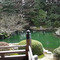 随心院：庭園
