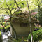 鈴虫寺：境内