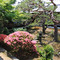 妙覚寺：庭園