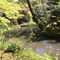 等持院：庭園
