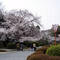 随心院：境内
