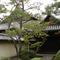 妙心寺：境内