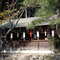 平野神社：境内
