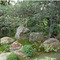 退蔵院：庭園