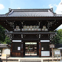 梅宮大社