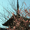 八坂の塔