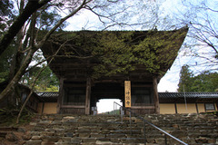 神護寺：楼門