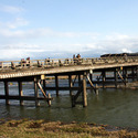 渡月橋