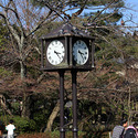 円山公園