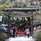 野宮神社：黒木鳥居