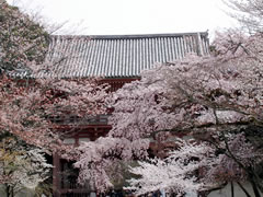醍醐寺：仁王門