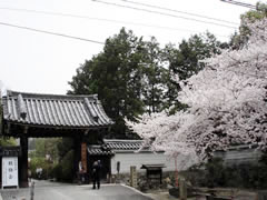 随心院：三門