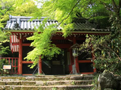 金蔵寺：山門