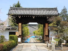 妙顕寺：山門