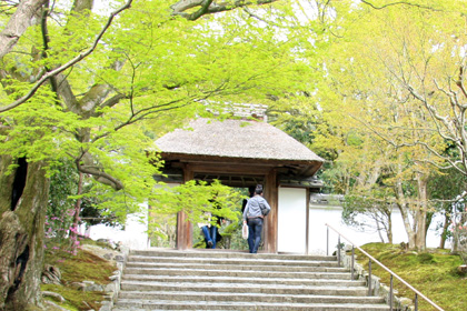 安楽寺：山門