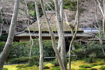 祇王寺：境内