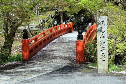 西明寺：境内