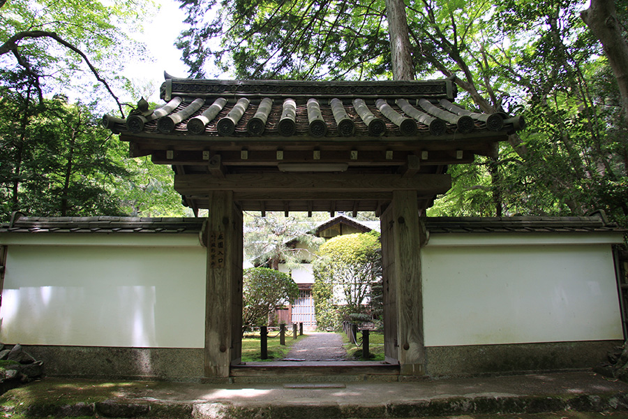 竹の寺 地蔵院