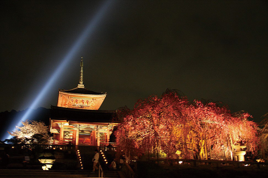 清水寺：桜ライトアップ