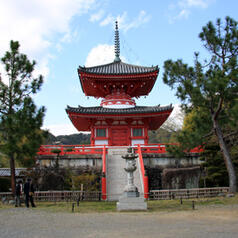 大覚寺 だいかくじ 京都の観光情報 丸竹夷 京都の寺社仏閣 京都のイベント情報