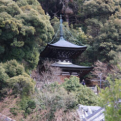 永観堂（禅林寺）