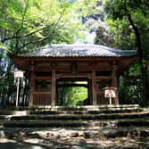 勝持寺（花の寺）