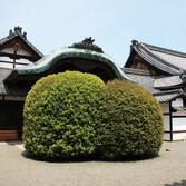 宝鏡寺門跡