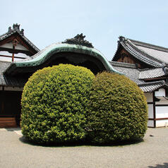 宝鏡寺門跡