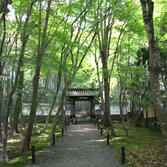 竹の寺 地蔵院