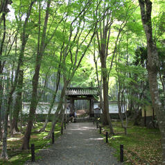 竹の寺 地蔵院