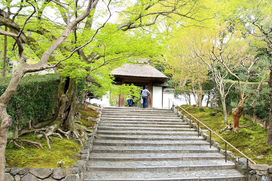 住蓮山 安楽寺