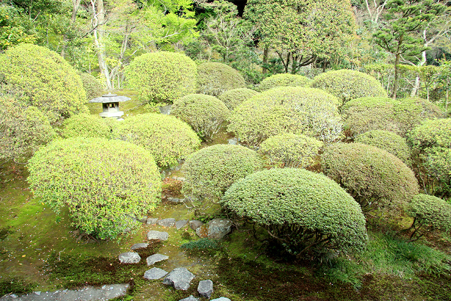 住蓮山 安楽寺