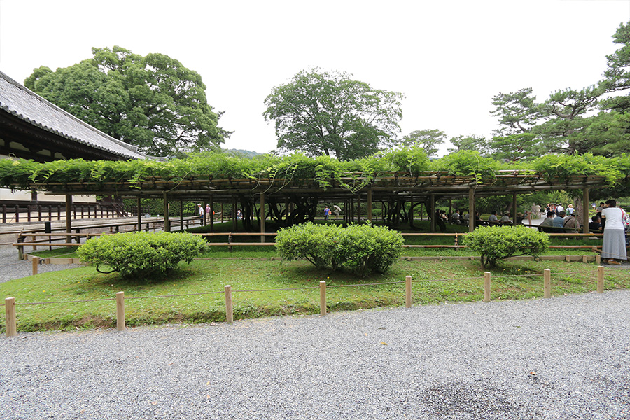 平等院