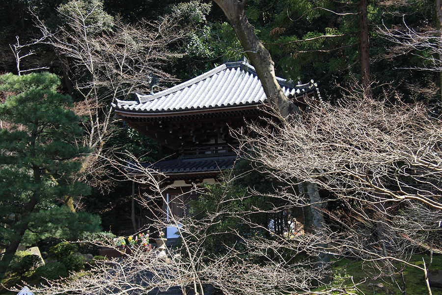 知恩院