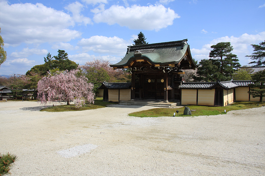 大覚寺