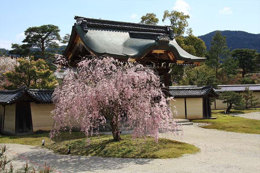 大覚寺