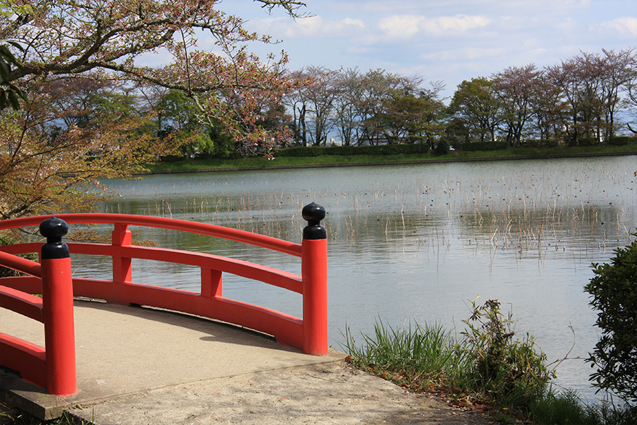 大覚寺