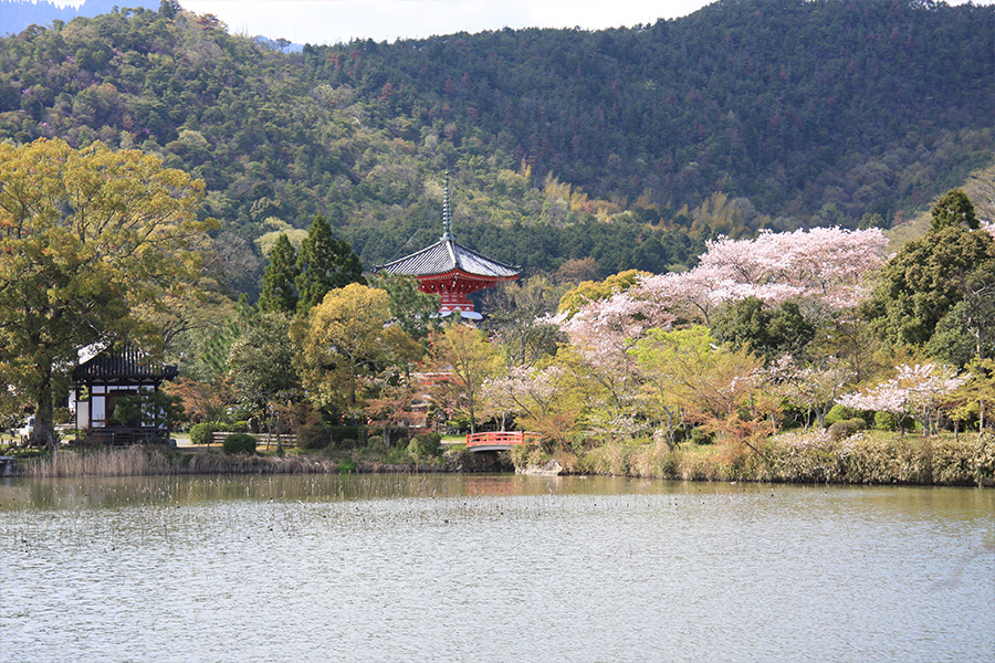 大覚寺