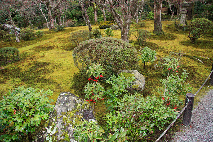 圓光寺