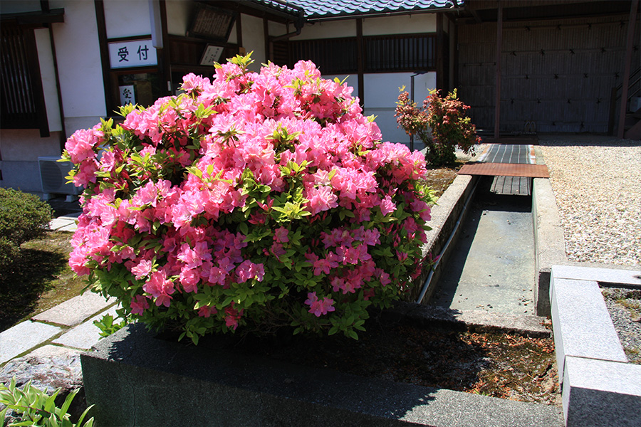 願徳寺