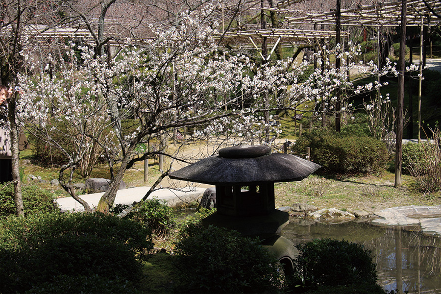 平安神宮神苑