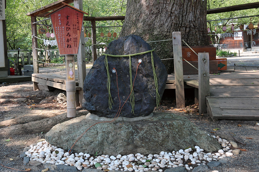 平野神社