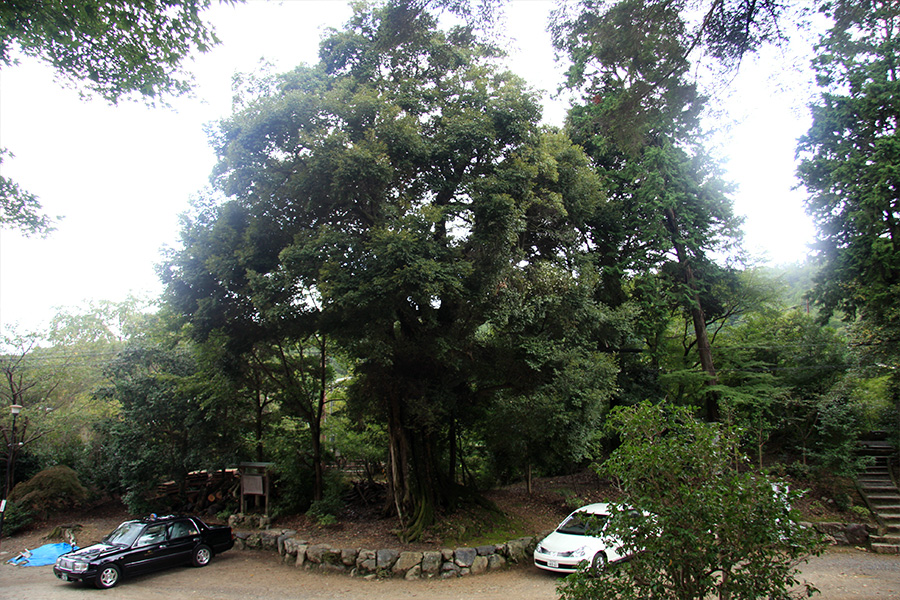 平岡八幡宮